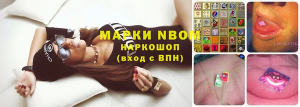 стаф Алексеевка