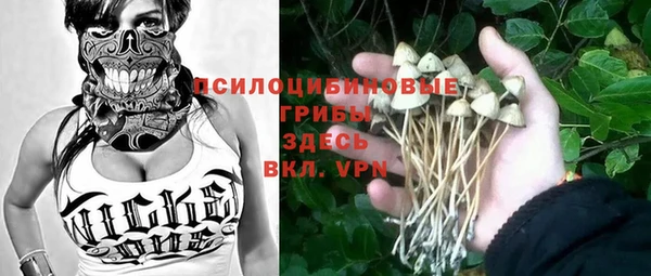 ALPHA PVP Армянск