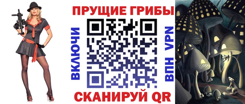 купить  сайты  Чебаркуль  Псилоцибиновые грибы Cubensis 